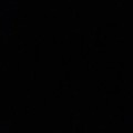 Profile picture of Nikola