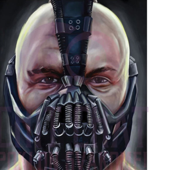Profile picture of DKJong