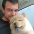 Profile picture of Nikola