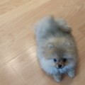 Profile picture of Milos95