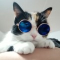 Profile picture of Maxsa