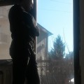 Profile picture of veljko