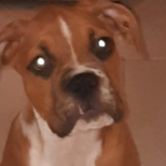 Profile picture of Zoran