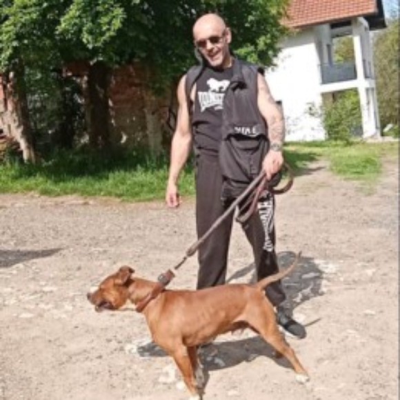Profile picture of Mehmed
