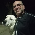 Profile picture of Aleksandar