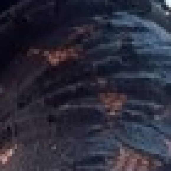 Profile picture of Dino