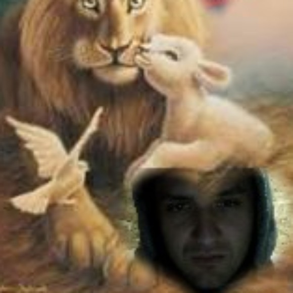 Profile picture of ALEKSAANDJEO